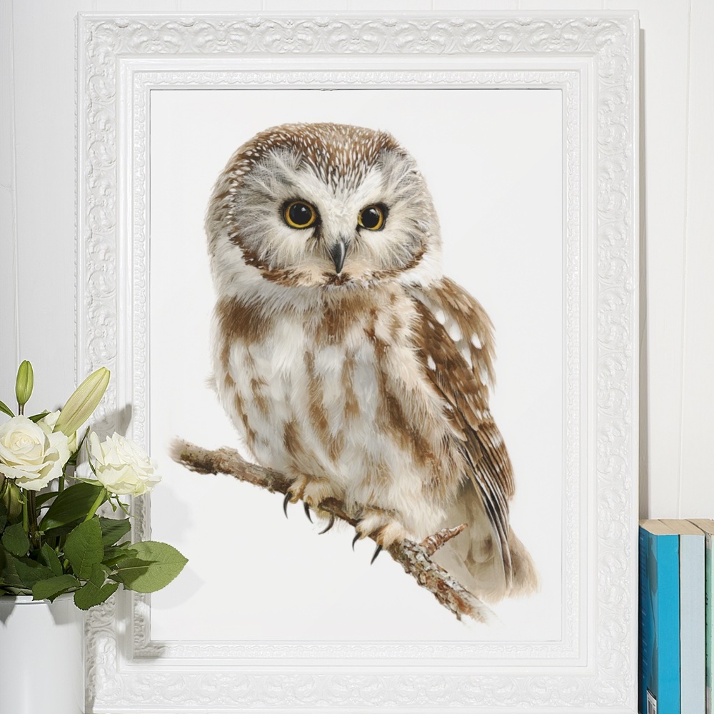 Watercolor Boreal Owl Portrait Wall Art Print Poster, Unframed - Charming - Picture 6 of 6